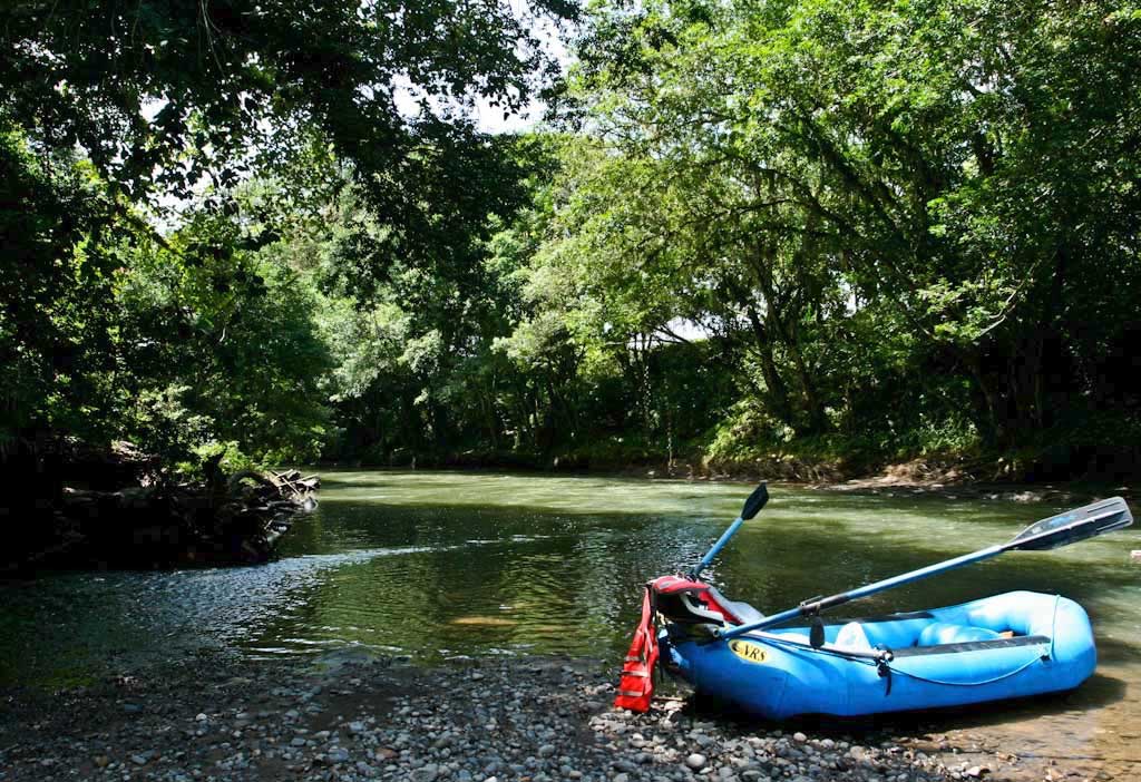 Safari float penas blancas