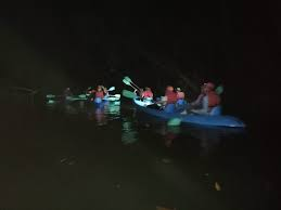 landscake kayak manglares de damas nocturno