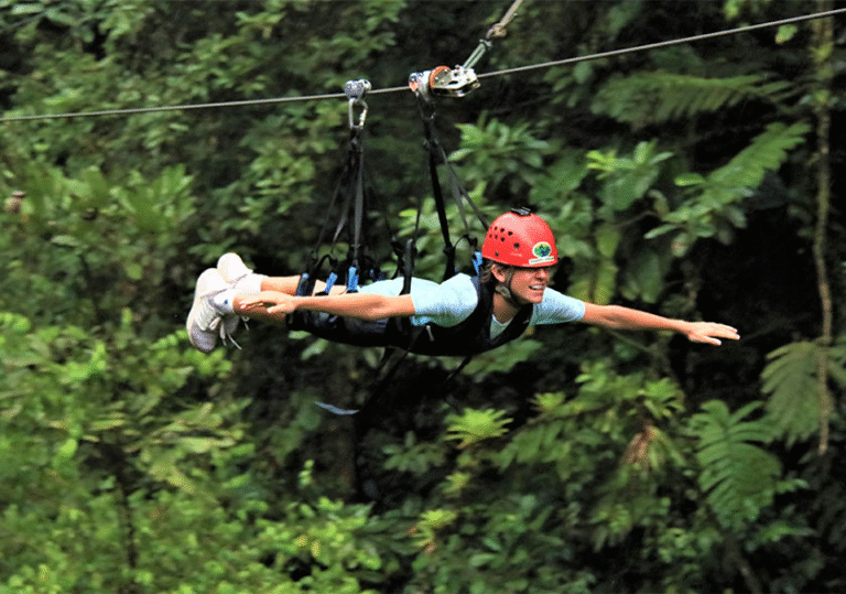 landscape canopy y zipline