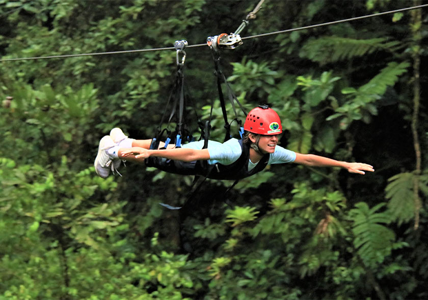 landscape canopy y zipline