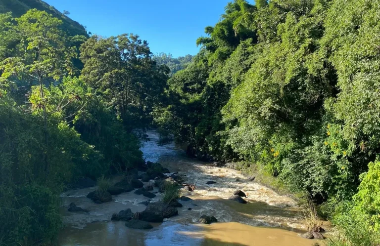 landscape rio naranjo
