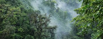 monteverde landingpage