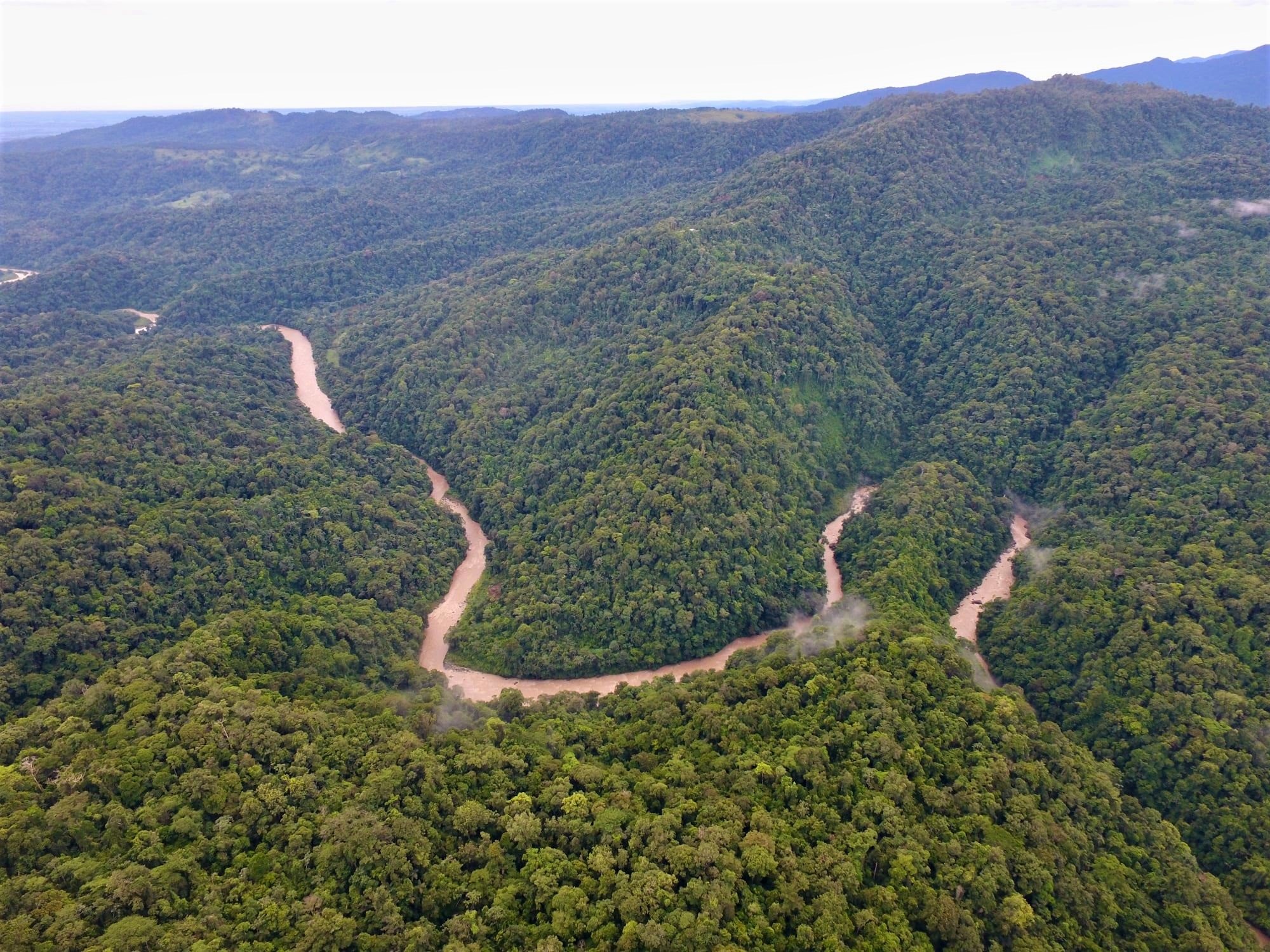 pacura tour landingpage