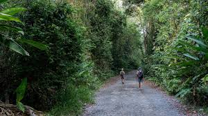 tortugero landingpage